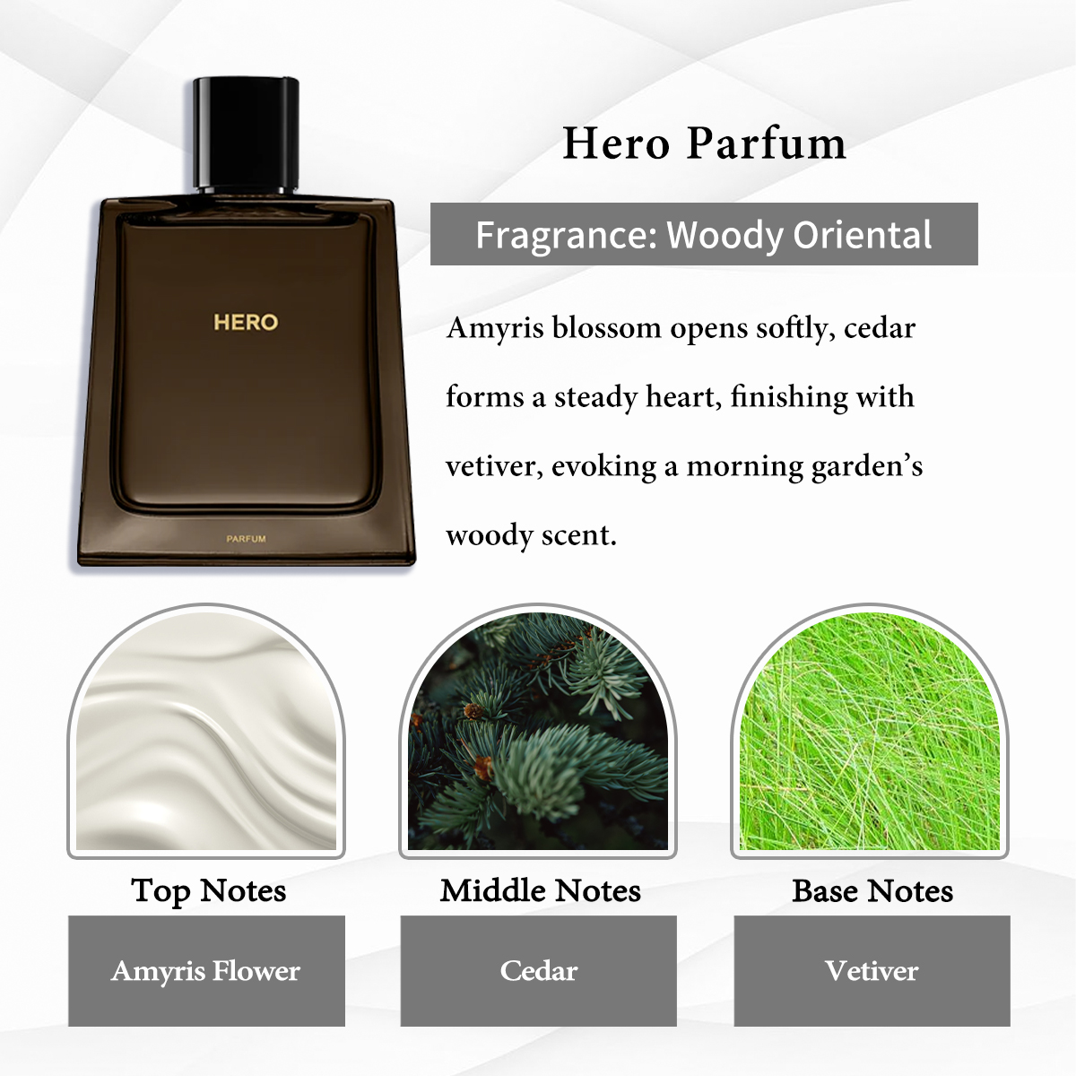 Burberry Collection EDP COD 