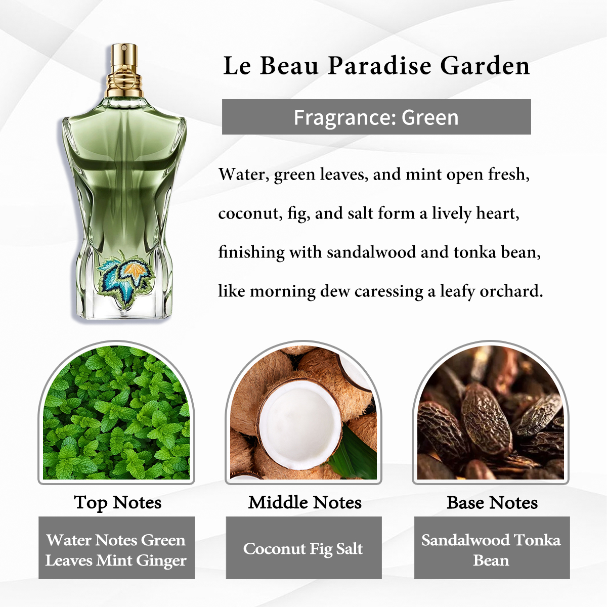 Jean Paul Gaultier Collection EDT COD