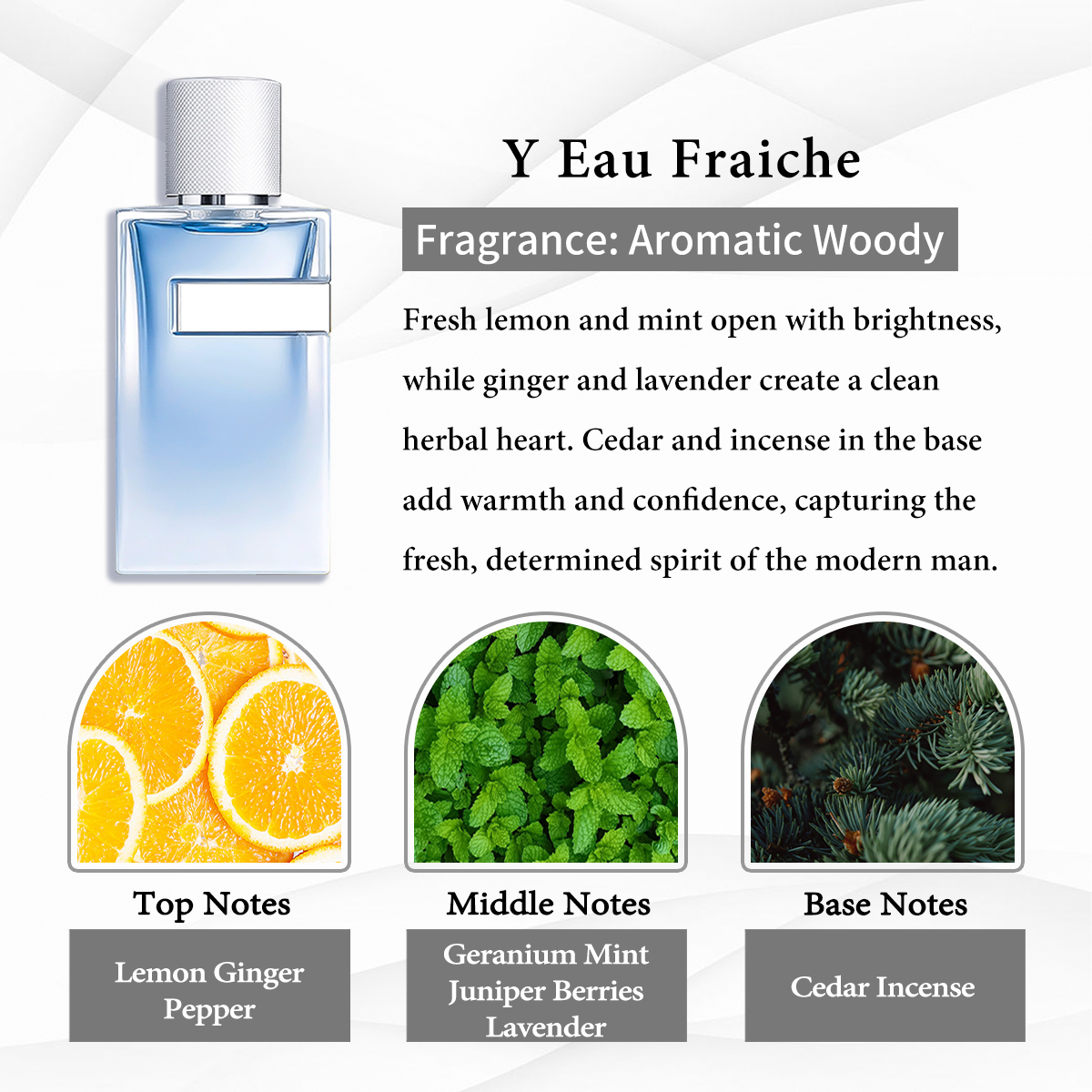  YSL Yves Saint Laurent Y Eau Fraiche EDT COD