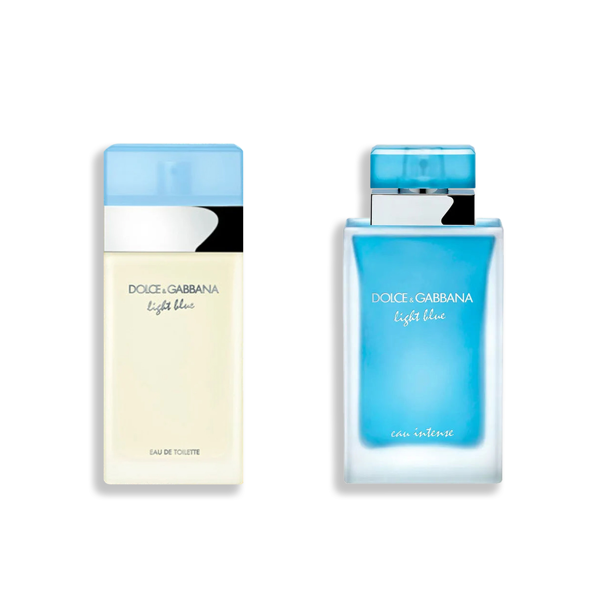  Dolce & Gabbana Collection  EDP COD