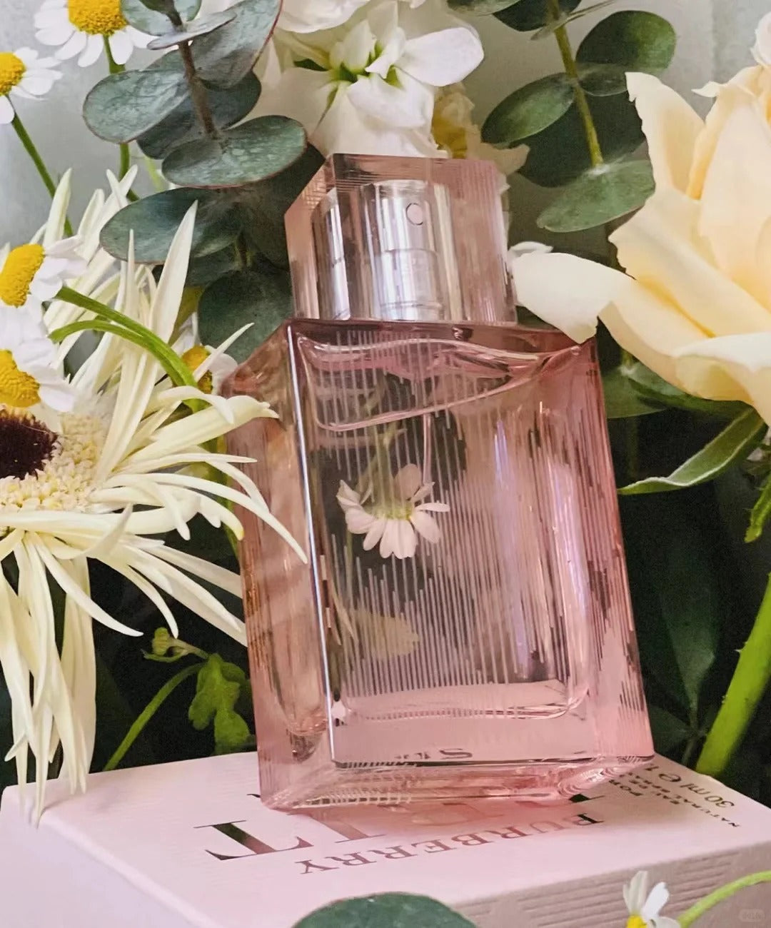 【ของแท้✓จัดส่งรวดเร็ว】My Black Parfum & Her EDP & My Blush EDP 2ml/5ml/10ml น้ำหอมพกพา น้ําหอมผู้หญิง กลิ่นติดทนนาน น้ําหอมชาย ขนาดทดลอง