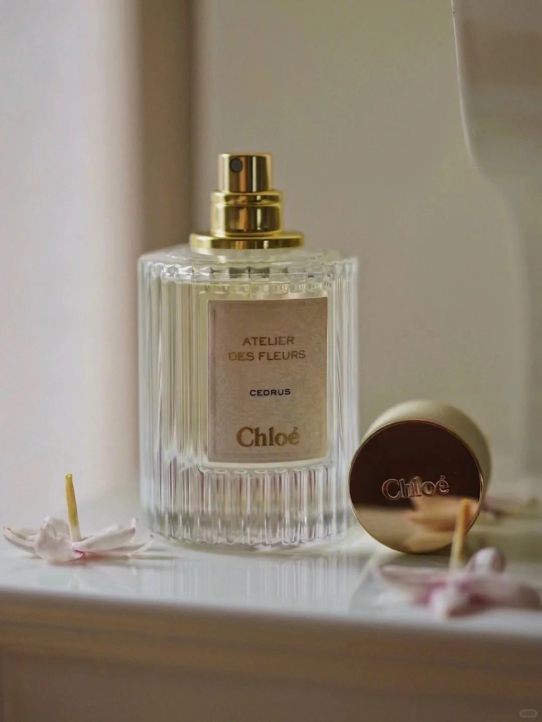 Chloe Atelier des Fleurs Cedrus EDP