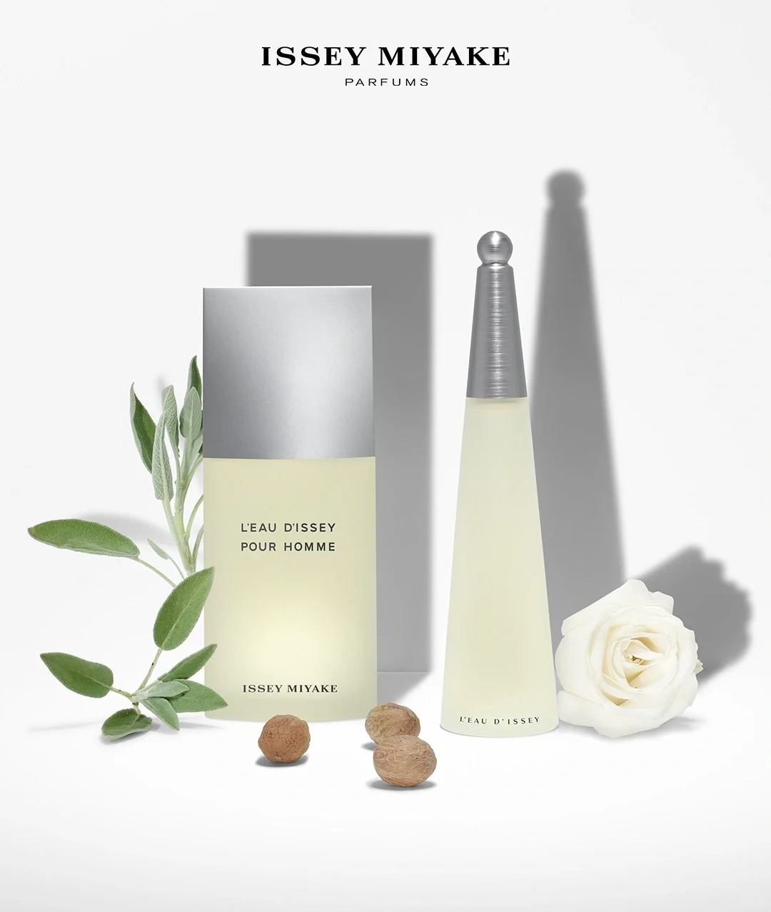 COD Issey Miyake L'Eau d'Issey Pour Homme EDT 2ml / 5ml / 10ml men's perfume