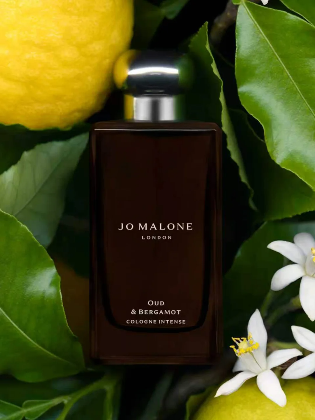  Jo Malone Orange Blosso EDC 