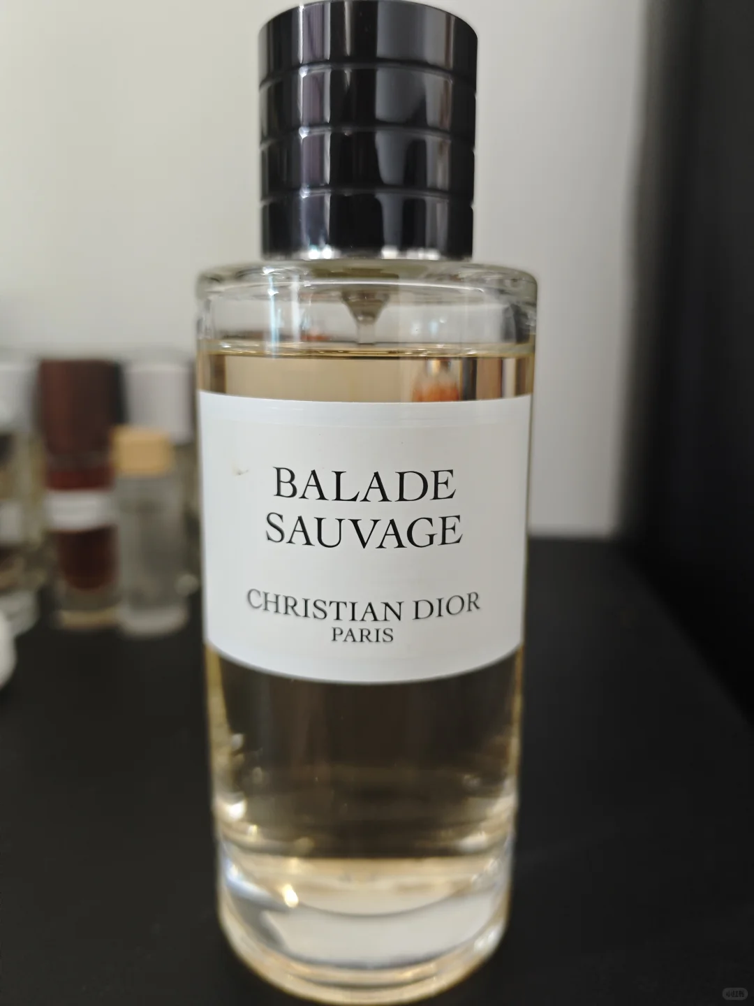 Dior Balade Sauvage EDP