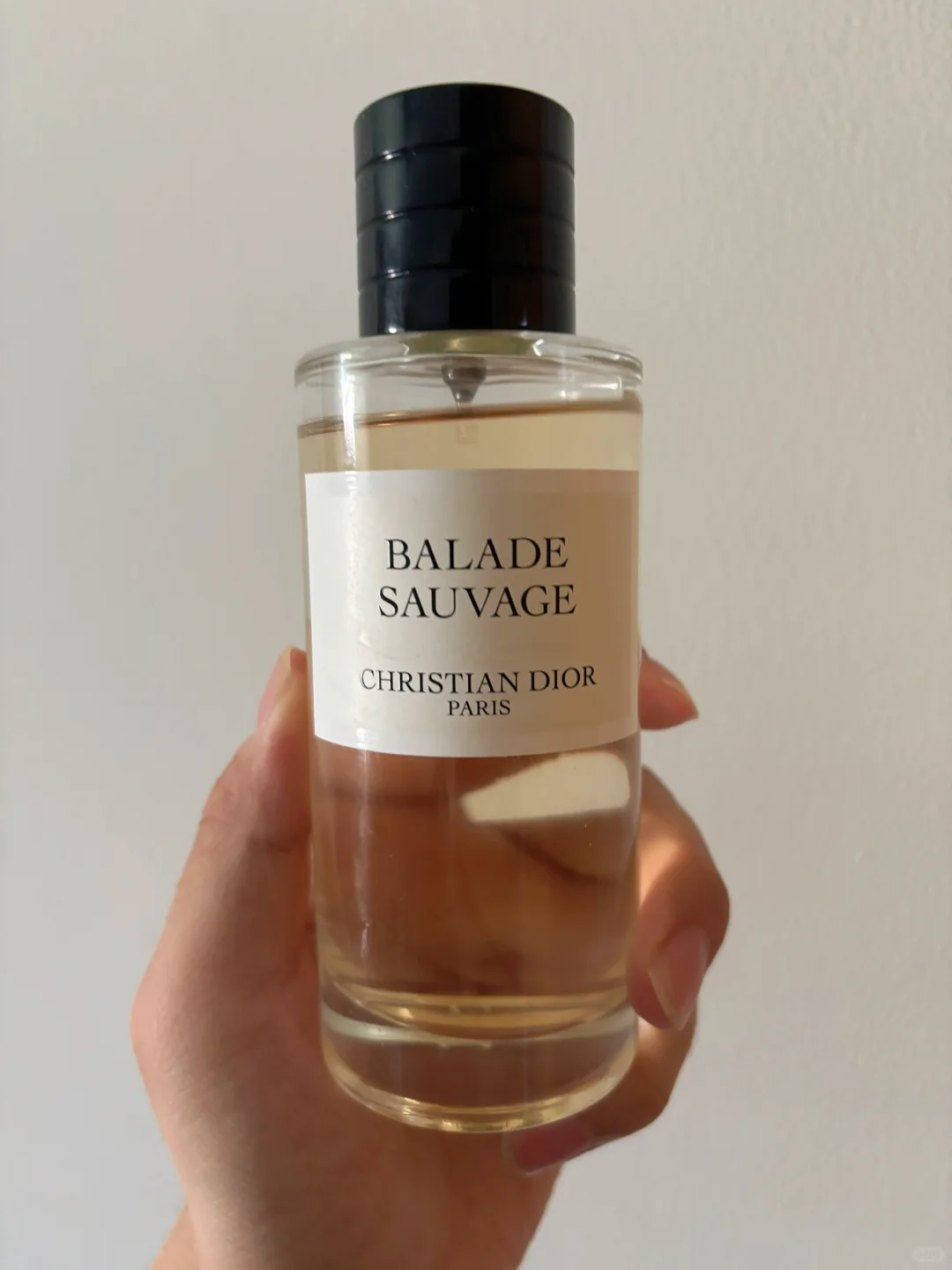 Dior Balade Sauvage EDP