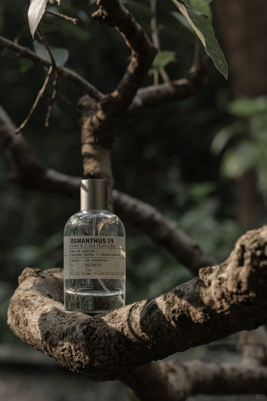 Le Labo Baie 19 EDP