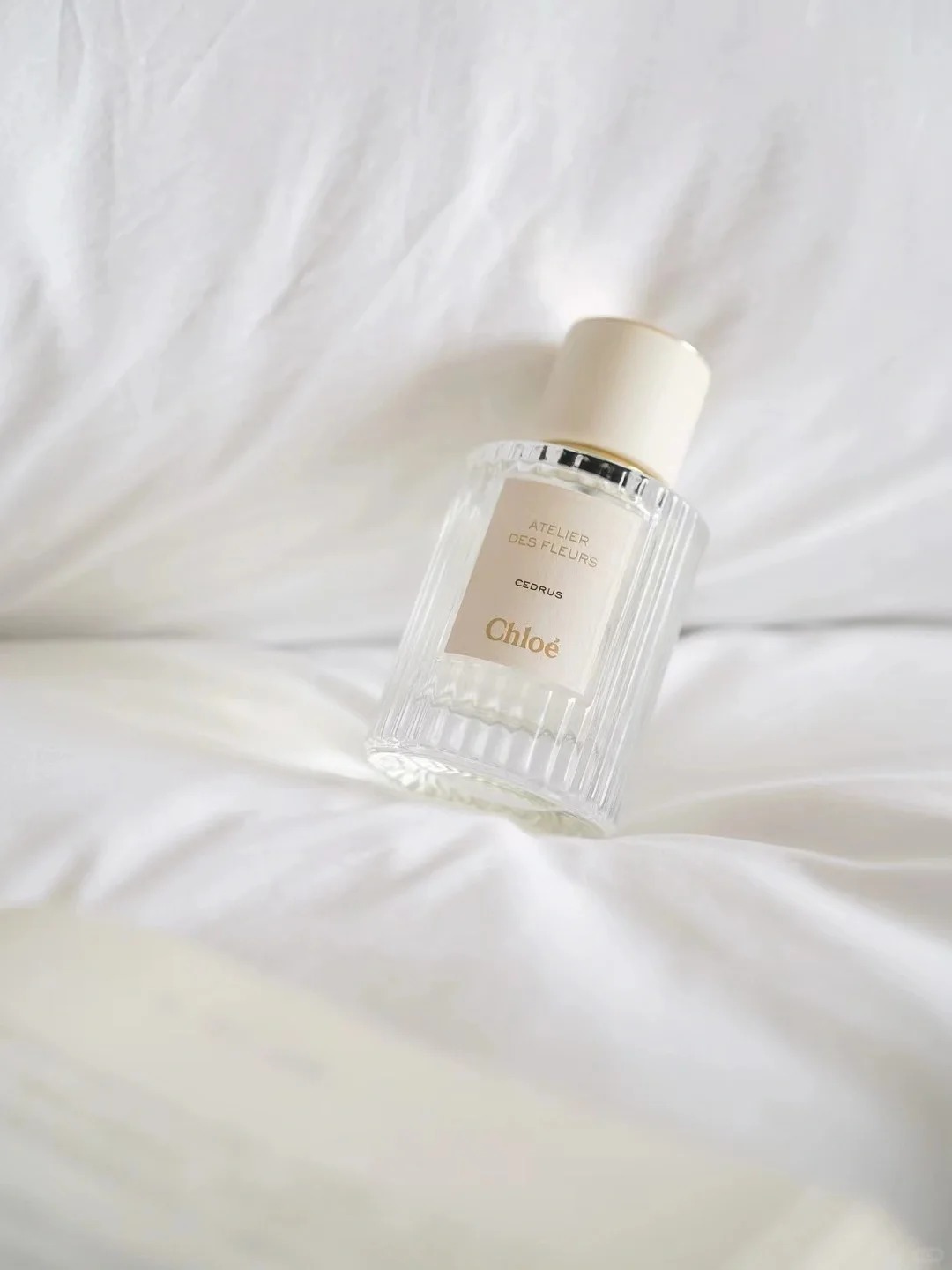 Chloe Atelier des Fleurs Cedrus EDP