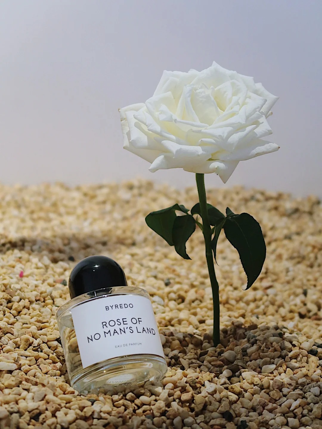 COD Byredo Rose Of No Man's Land EDP 2ml / 5ml / 10ml Unisex perfume