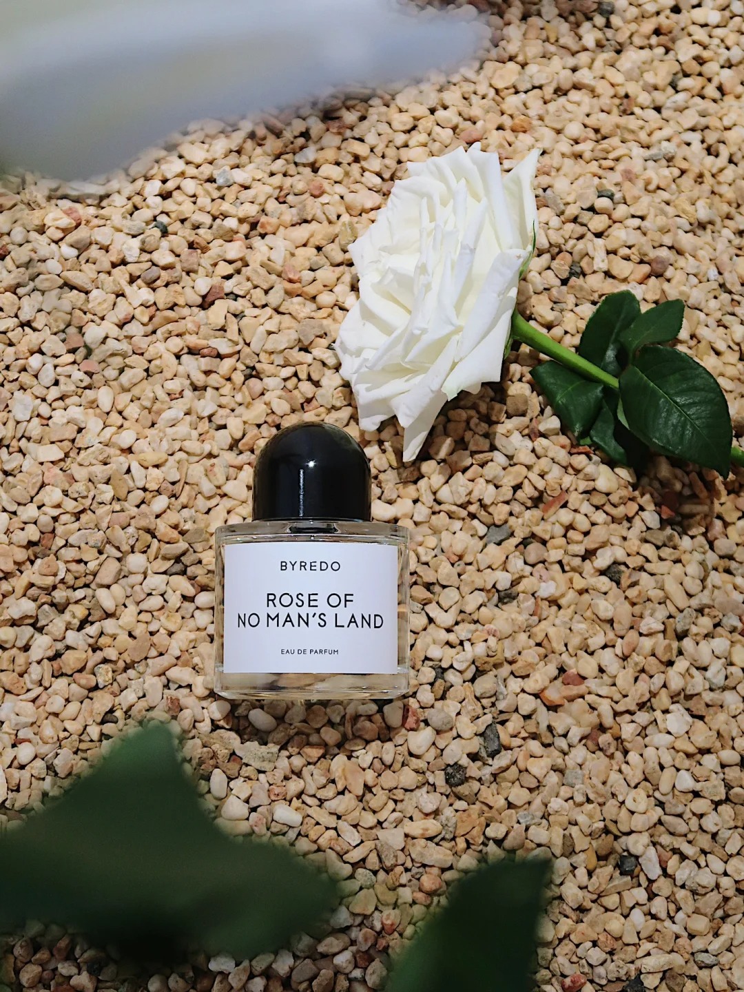 COD Byredo Rose Of No Man's Land EDP 2ml / 5ml / 10ml Unisex perfume