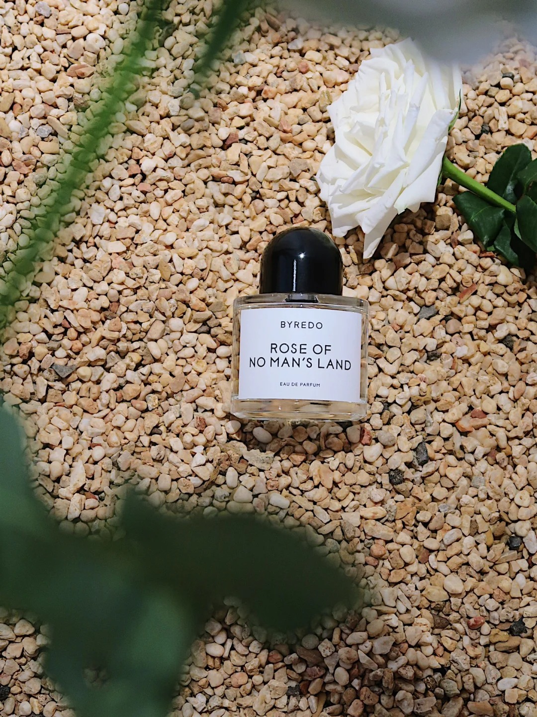 COD Byredo Rose Of No Man's Land EDP 2ml / 5ml / 10ml Unisex perfume