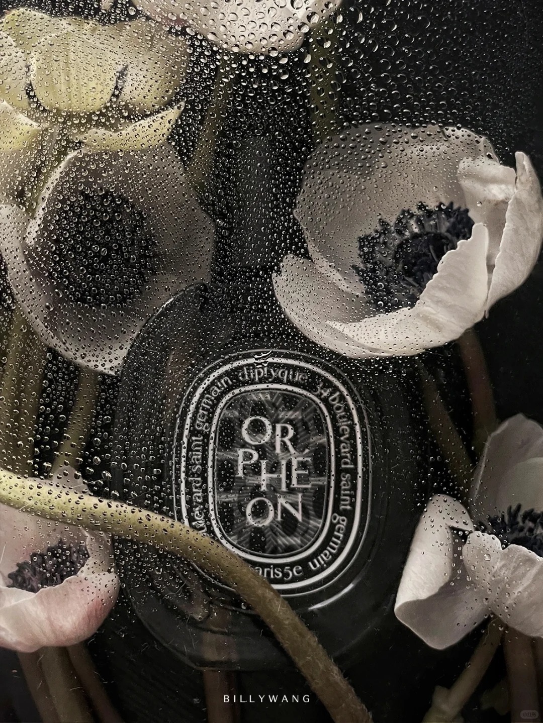 COD Diptyque Orphéon Eau de Parfum EDP 2ml / 5ml / 10ml Unisex perfume