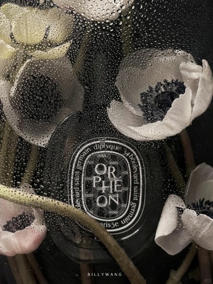 COD Diptyque Orphéon Eau de Parfum EDP 2ml / 5ml / 10ml Unisex perfume
