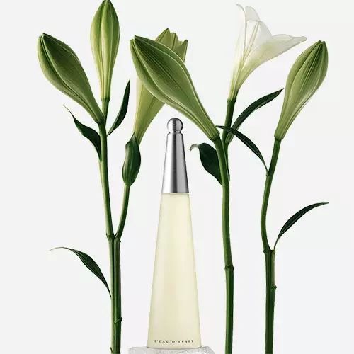 【ของแท้✓จัดส่งรวดเร็ว】L'Eau d'Issey Pour Homme EDT/L'eau d'Issey EDP น้ําหอมผู้หญิง น้ำหอมขายดี  ติดทนนาน น้ำหอมพกพา น้ําหอมชาย