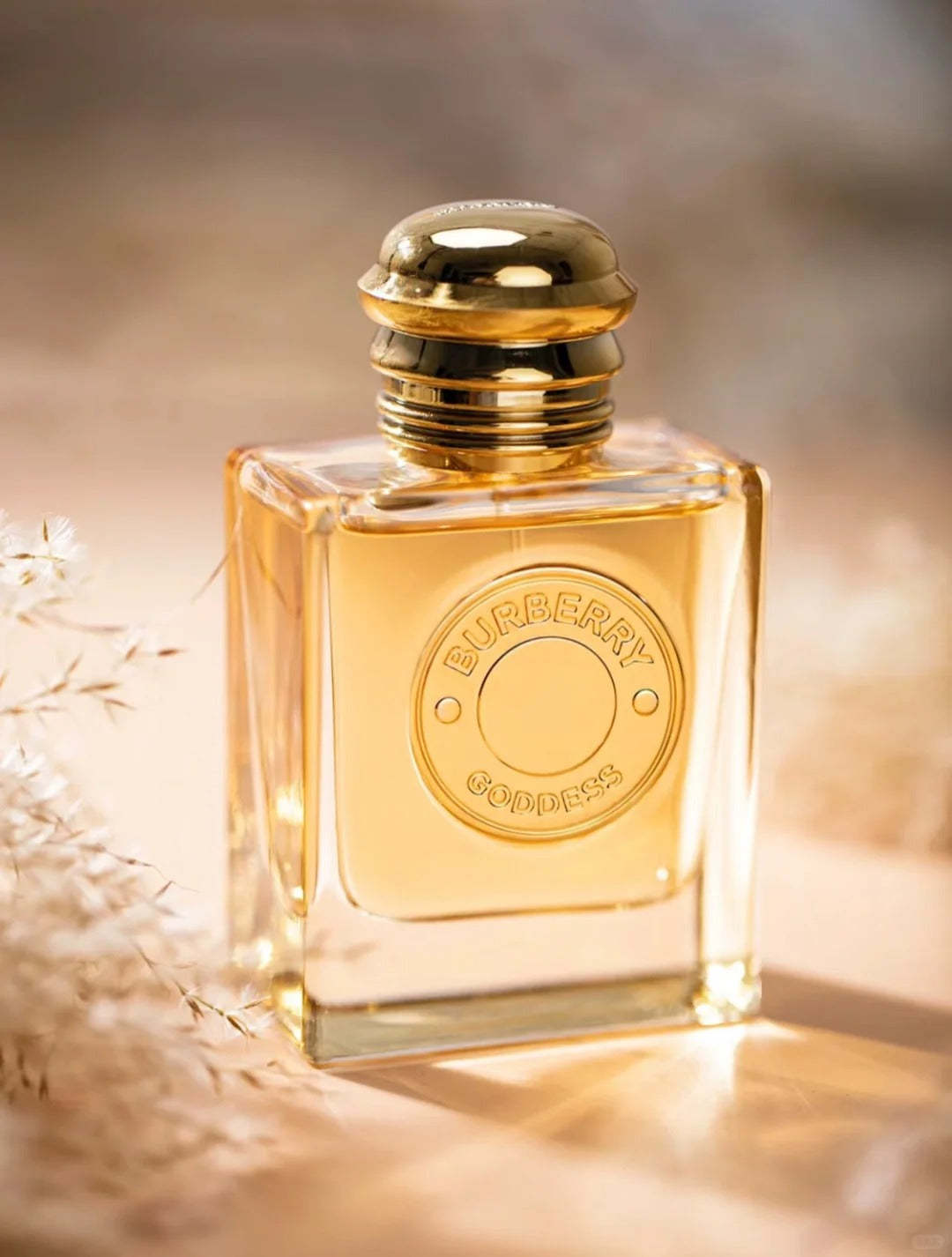 【ของแท้✓จัดส่งรวดเร็ว】My Black Parfum & Her EDP & My Blush EDP 2ml/5ml/10ml น้ำหอมพกพา น้ําหอมผู้หญิง กลิ่นติดทนนาน น้ําหอมชาย ขนาดทดลอง