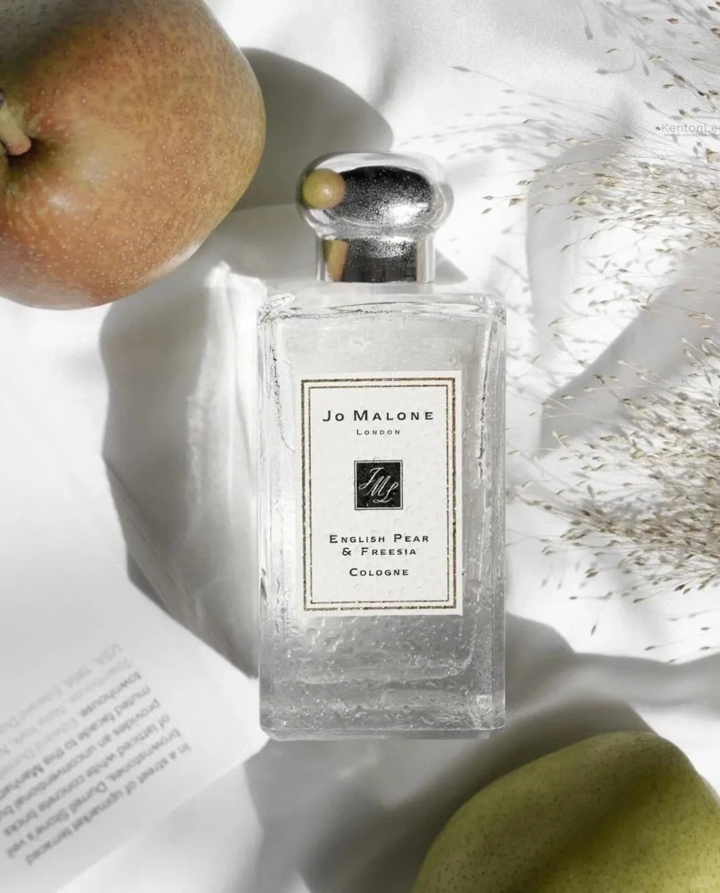 【ของแท้✓จัดส่งรวดเร็ว】English Pear & Freesia | Wood Sage & Sea Salt EDC 2ml/5ml/10ml unisex  น้ําหอมผู้หญิง  น้ําหอม น้ำหอมขายดี น้ำหอมพกพา  กลิ่นหอม