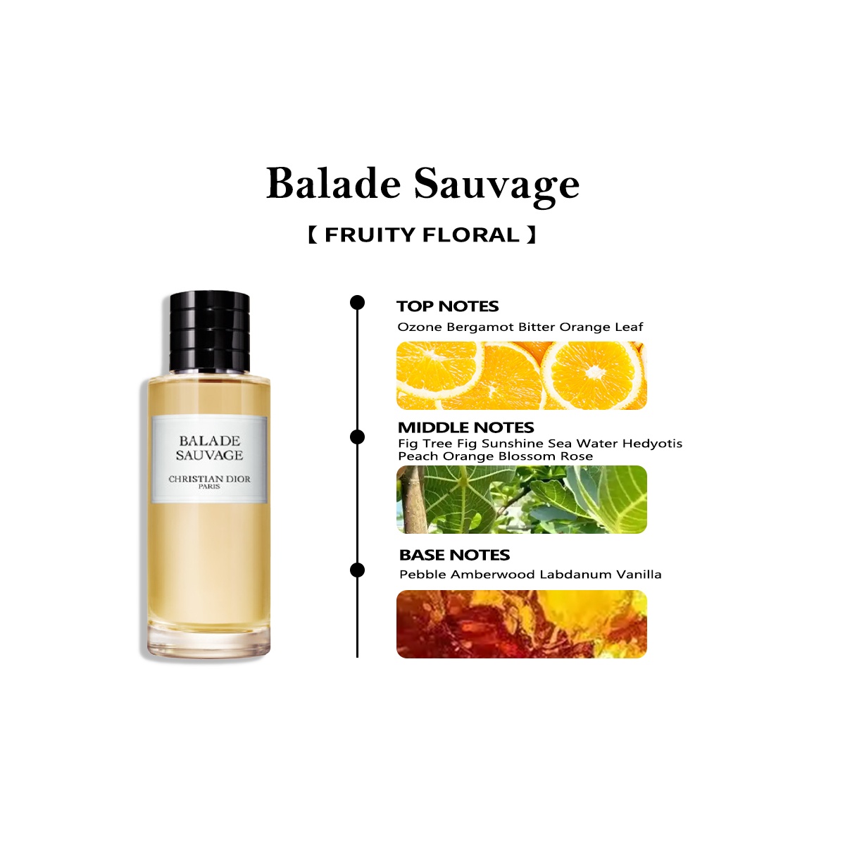 Dior Balade Sauvage EDP
