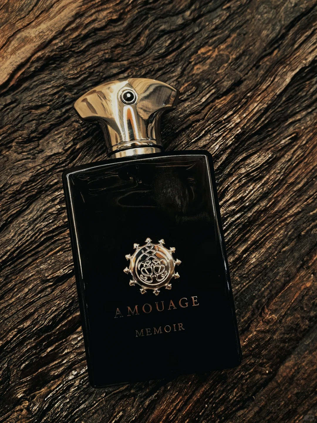 【ของแท้✓ติดทนนาน】Memoir Man EDP 2ml / 5ml / 10ml น้ําหอมชาย น้ำหอมพกพา ตัวอย่างน้ำหอมแบรนด์ น้ําหอมเสน่ห์