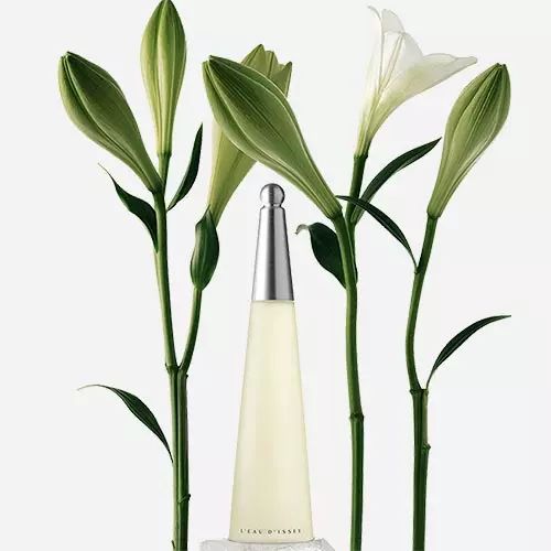 Issey Miyake L'eau d'Issey EDP COD