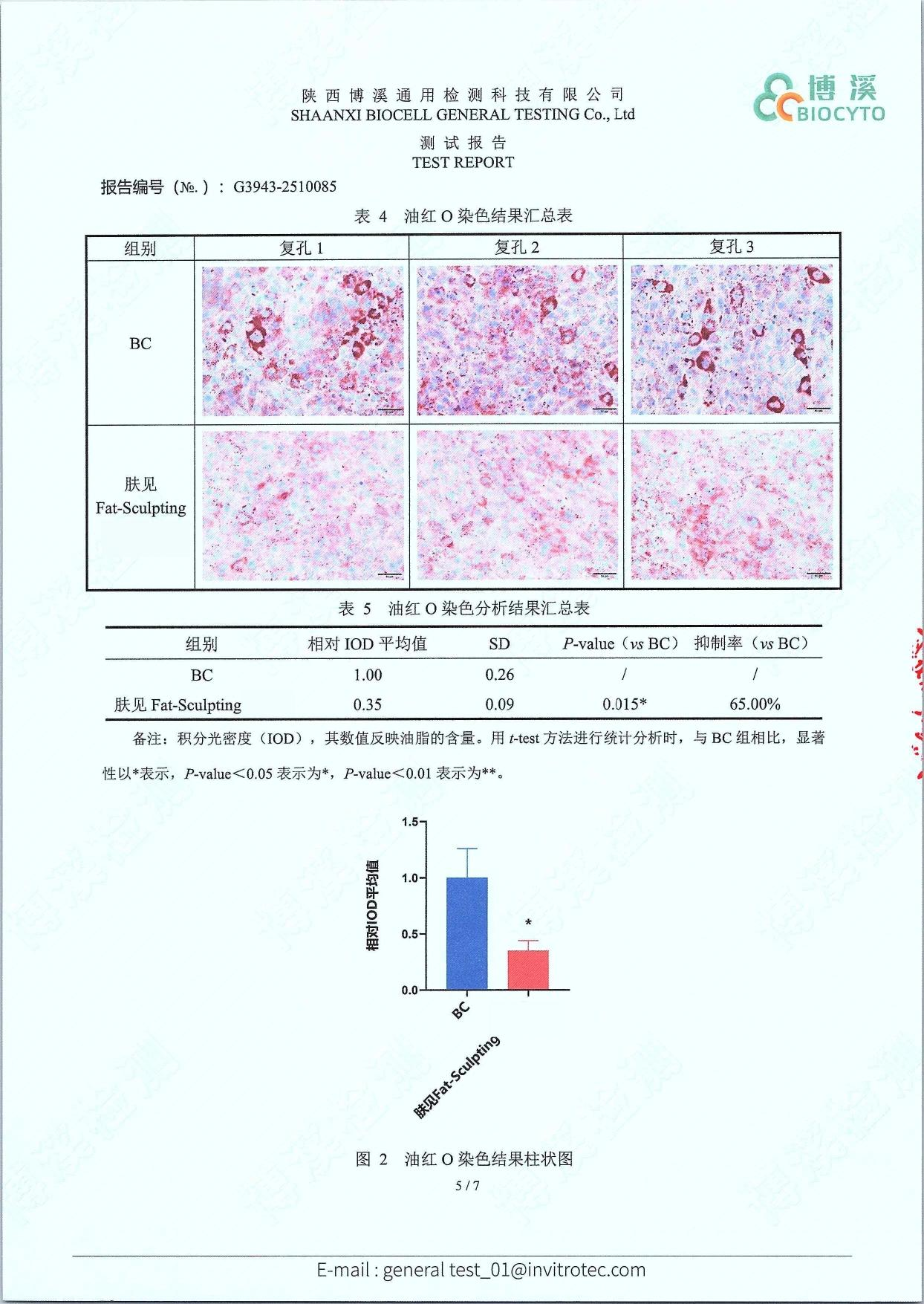 【勇哥專屬】Cistto膚見骨相提升膠原霜 緊緻V臉塑形 奇蹟面霜