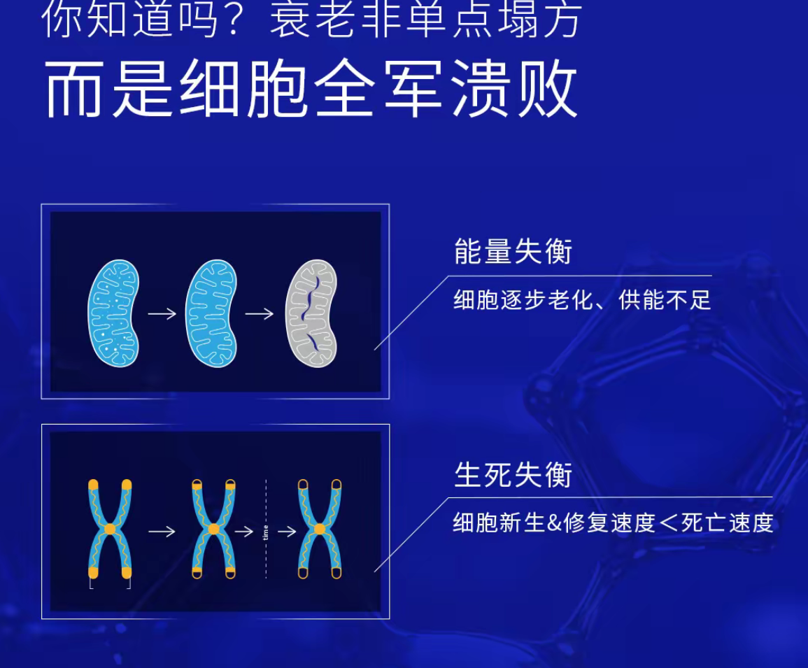 VOYMEKA煥新藴活膠囊美塑膠囊緊緻內服口服細胞能量