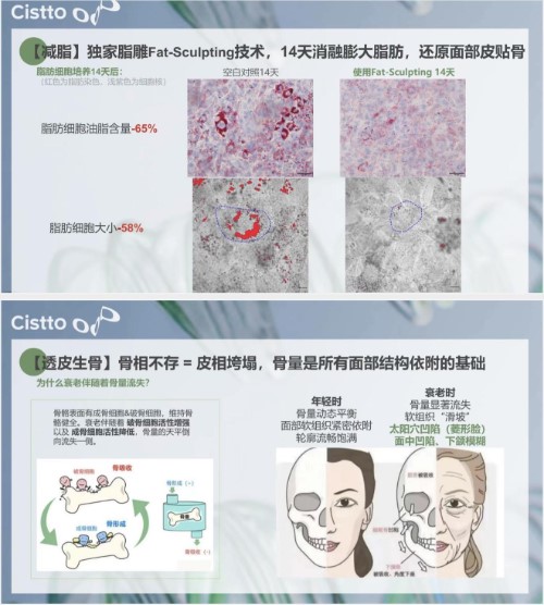 【勇哥專屬】Cistto膚見骨相提升膠原霜 緊緻V臉塑形 奇蹟面霜