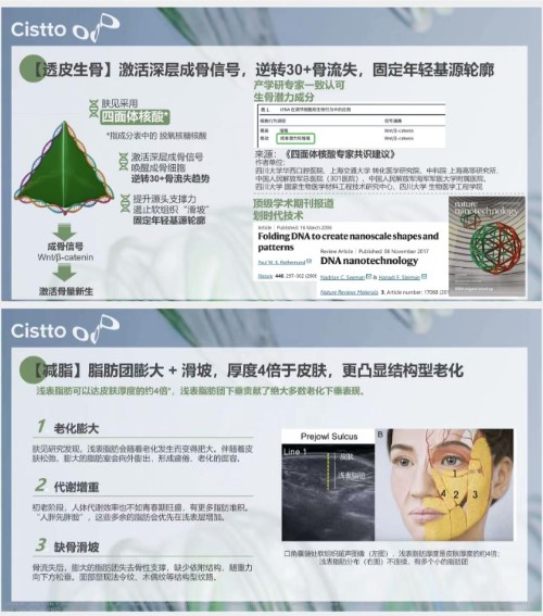 【勇哥專屬】Cistto膚見骨相提升膠原霜 緊緻V臉塑形 奇蹟面霜