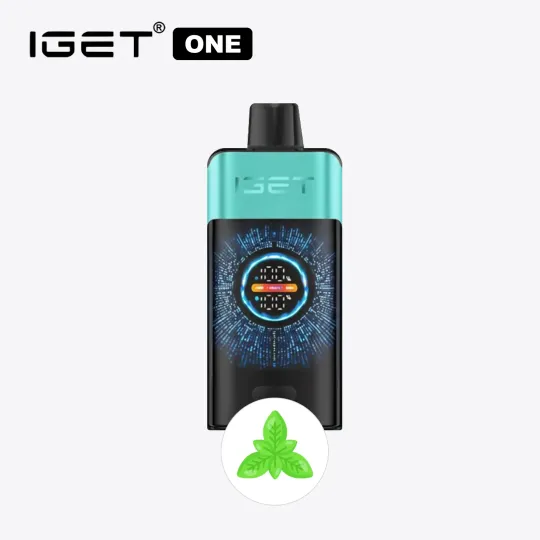 Mountain Spring Mint Ice IGET ONE[10–15 day delivery]