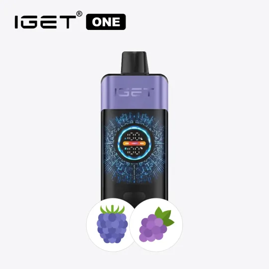 Raspberry Grape Ice IGET ONE[10–15 day delivery]