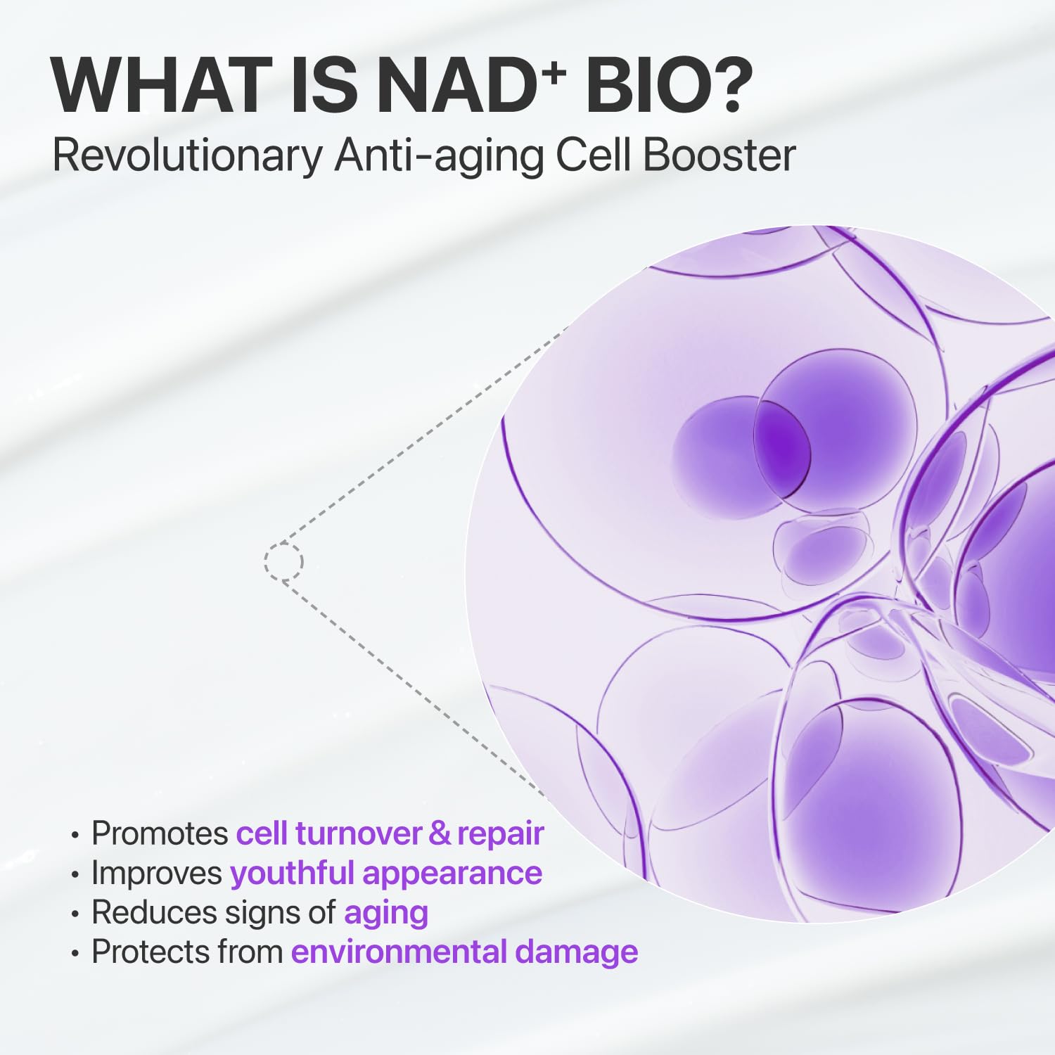 Numbuzin 9號NAD+BIO提拉緊緻精華液 50ml