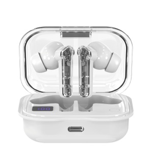 ST64D AI Translation Earphones [Comes with "AI Friend" Software]