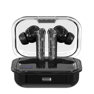 ST64D AI Translation Earphones [Comes with "AI Friend" Software]