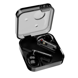 ST79 AI Translation Earphones [Comes with "AI Friend" Software]