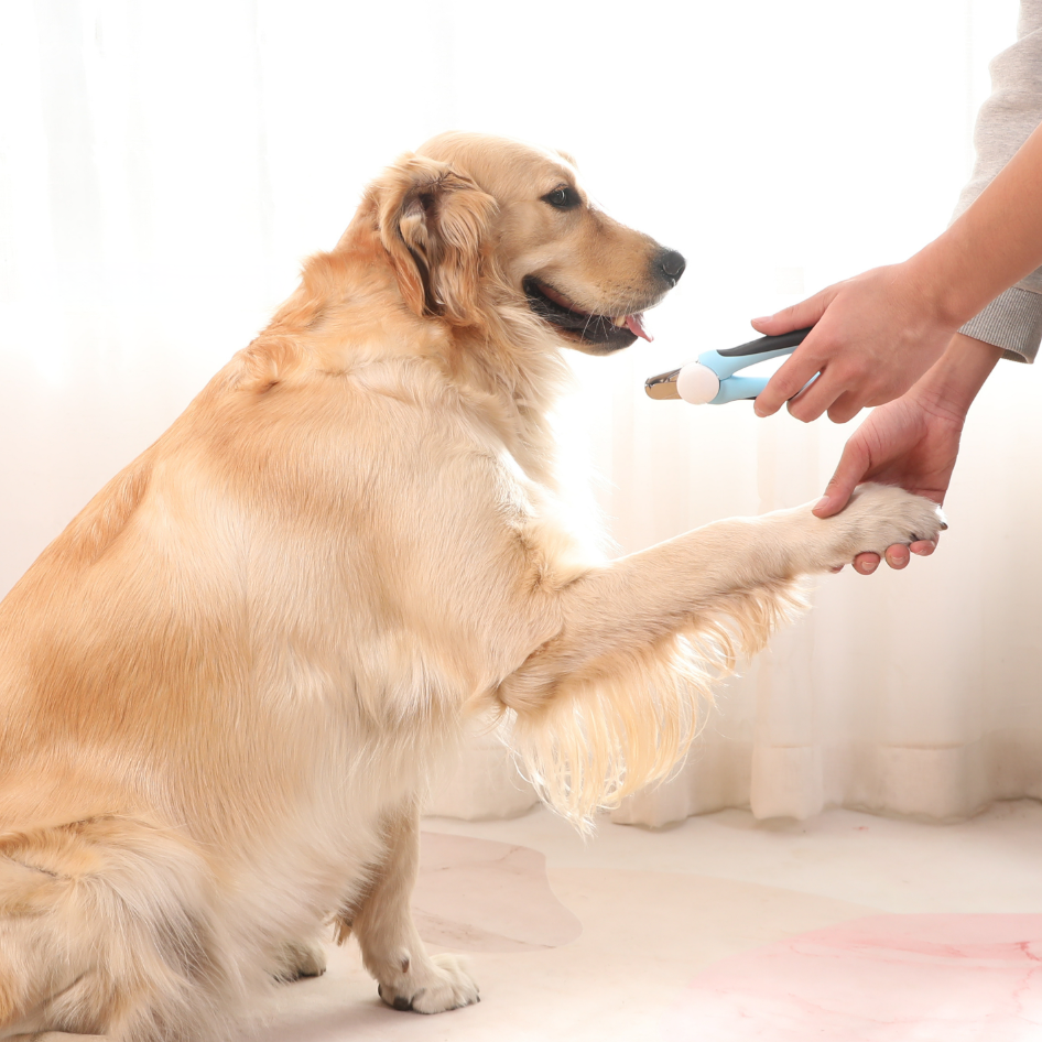 สินค้าขายดี