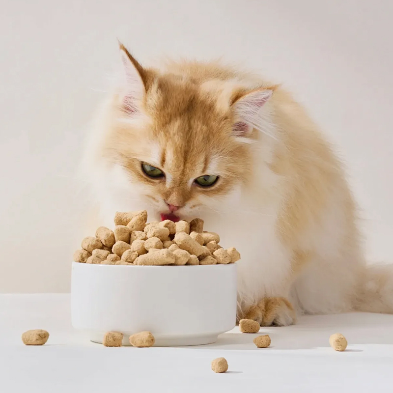 สินค้าใหม่มาแล้ว