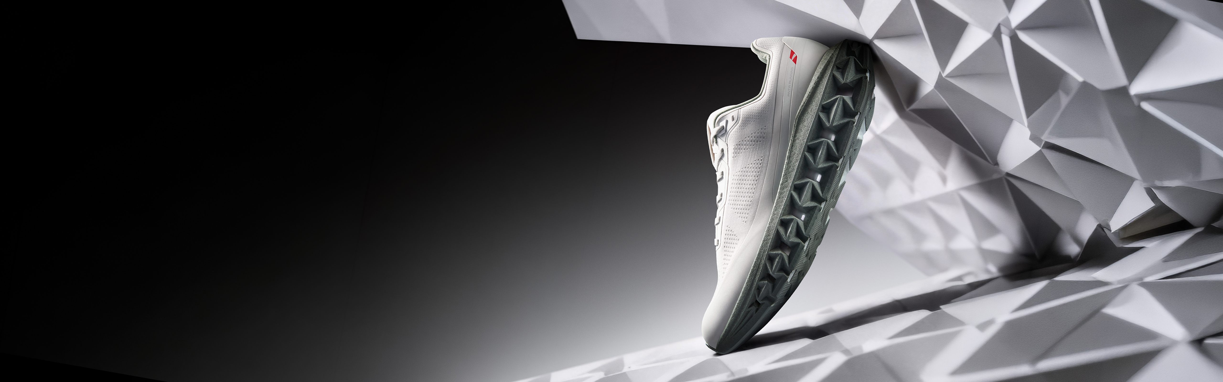 ANTA shoes