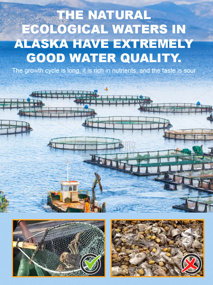 Crispy ready-to-eat small sea crab