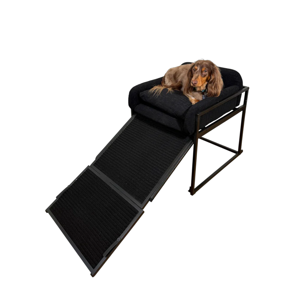 Pet Office Chair with Built-In Ramp – Joint-Friendly Elevated Comfort