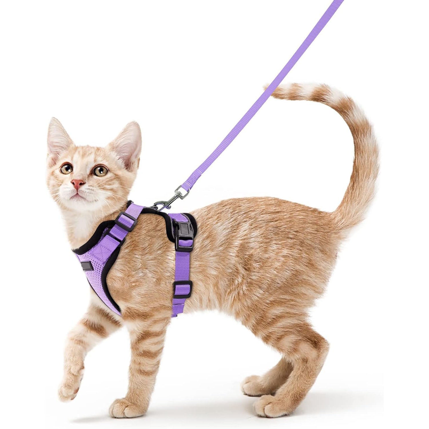Cat Harness Vest – Escape-Proof, Soft Adjustable, Breathable with Reflective Stripe