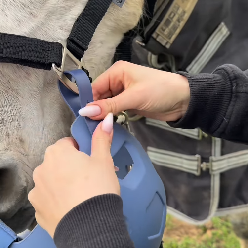 Adjustable Horse Grazing Mask – Control Overeating Safely and Naturally