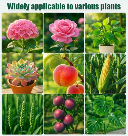 A bottle diluted with 1000 jin of water: Plant and fruit tree orchard cleaning agent.