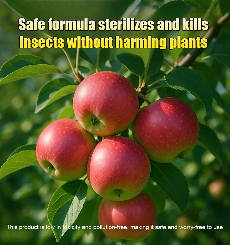 A bottle diluted with 1000 jin of water: Plant and fruit tree orchard cleaning agent.