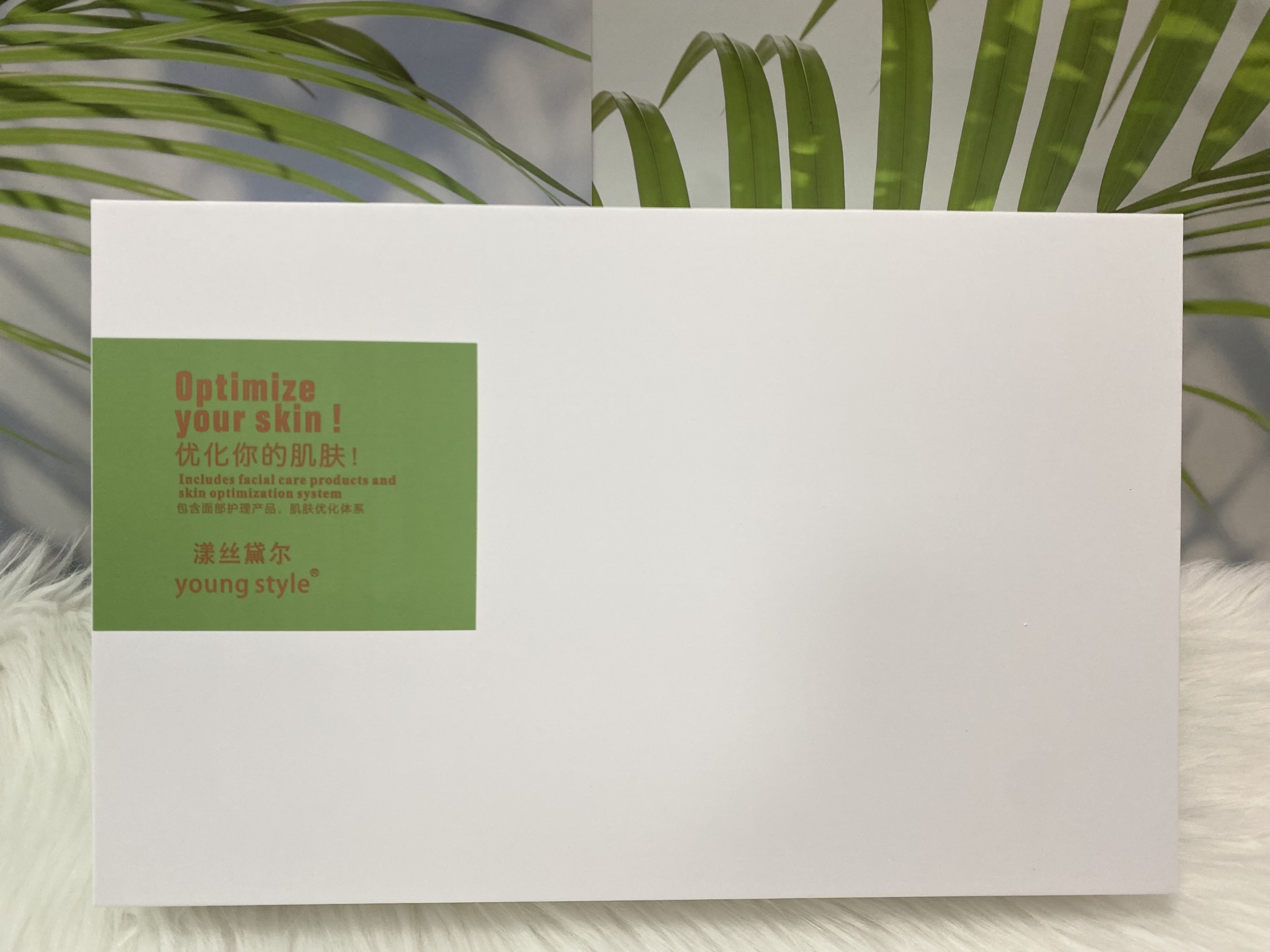 Yangsi Daier Young Style White Willow Cleansing Set