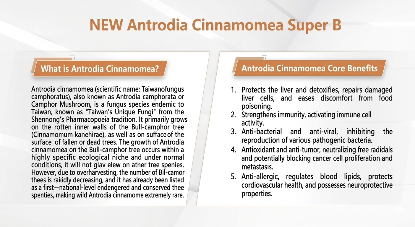 NEW Antrodia Cinnamomea Super B 30 capsules per box  樟芝B群膠囊 30 錠 (10 錠 /片，計3 片)