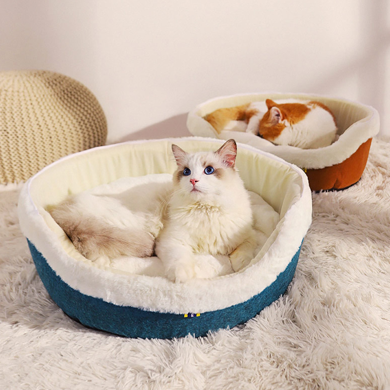 สินค้าแนะนำ