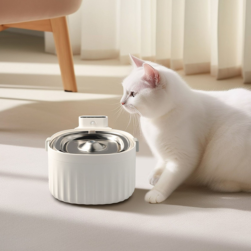 สินค้าใหม่มาแล้ว