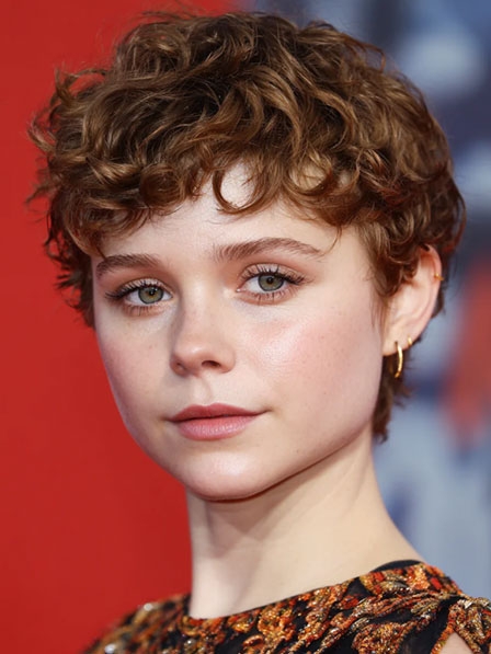 Short Boycuts Lace Front Human Hair Wigs 2026