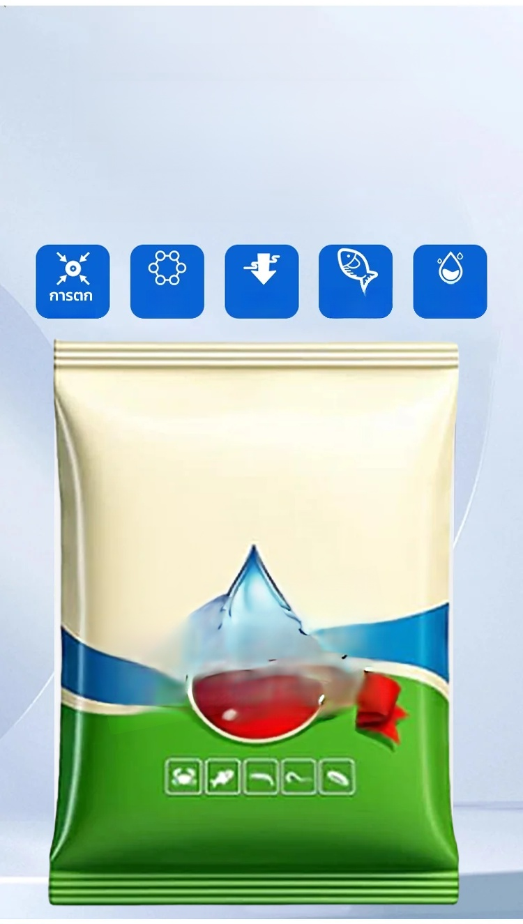 2.webp