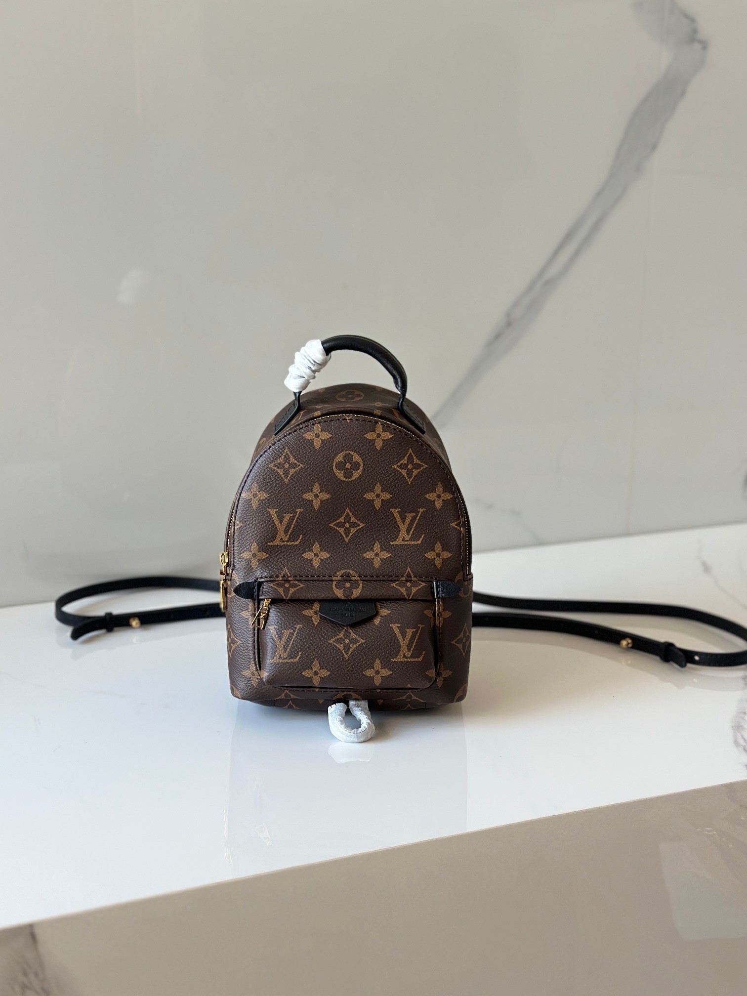 LOUIS VUITTON Palm Springs Mini モノグラム ミニバックパック ルイヴィトン
