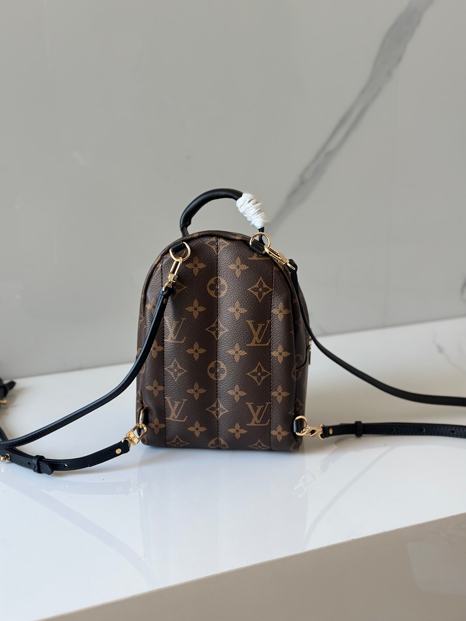 LOUIS VUITTON Palm Springs Mini モノグラム ミニバックパック ルイヴィトン